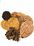 Aquarium Botanical Tannin Pack - Catappa Leaves, Casuarina Cones, Lotus Seed Pod - IHEARTBUGS, INC.