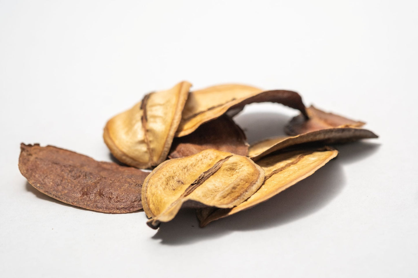 Asa Barata Pods - 5 Count - IHEARTBUGS, INC.