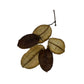 Asa Barata Pods - 5 Count - IHEARTBUGS, INC.