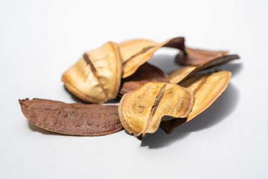 Asa Barata Pods - 5 Count - IHEARTBUGS, INC.