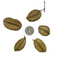Asa Barata Pods - 5 Count - IHEARTBUGS, INC.