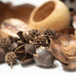 Assorted Seed Pod Variety Pack - 19 Pieces - IHEARTBUGS, INC.