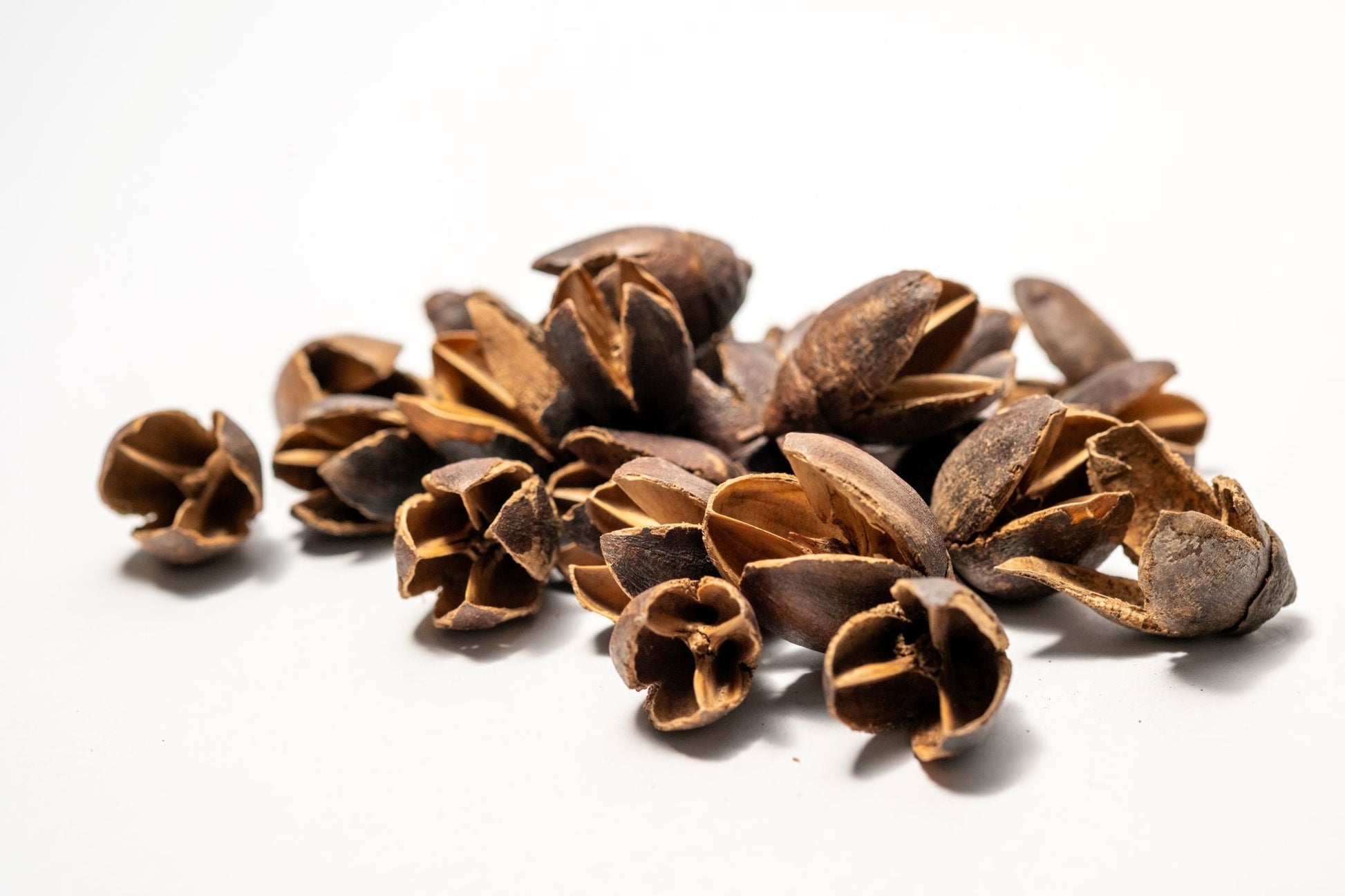 Bakuli Pods - IHEARTBUGS, INC.