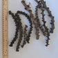 Banana Stems - 3 Stems - IHEARTBUGS, INC.