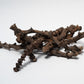 Banana Stems - 3 Stems - IHEARTBUGS, INC.