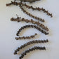 Banana Stems - 3 Stems - IHEARTBUGS, INC.