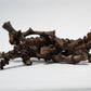 Banana Stems - 3 Stems - IHEARTBUGS, INC.