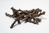 Banana Stems - 3 Stems - IHEARTBUGS, INC.