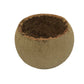 The I Heart Bugs Bell Cup Pod, crafted from Aegle marmelos, features a round, hollow form with a jagged rim and rustic surface—ideal as natural aquarium décor or for earthy displays. Photographed on a white background.