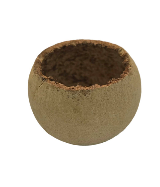 The I Heart Bugs Bell Cup Pod, crafted from Aegle marmelos, features a round, hollow form with a jagged rim and rustic surface—ideal as natural aquarium décor or for earthy displays. Photographed on a white background.
