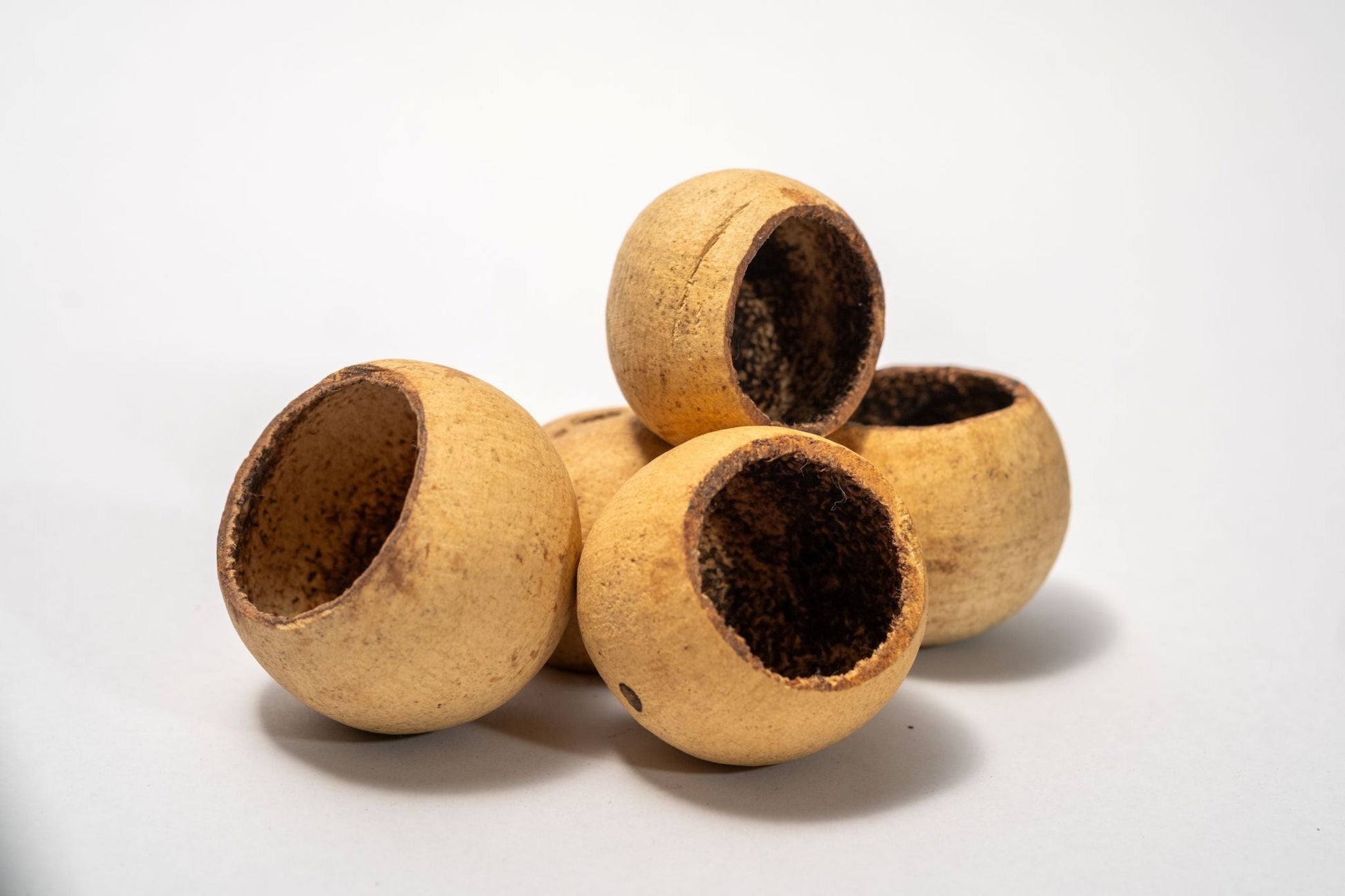 Bell Cup Pod - IHEARTBUGS, INC.