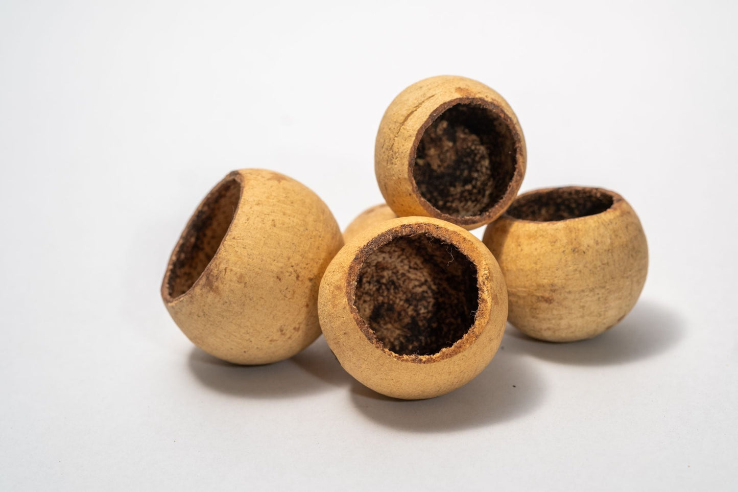 Bell Cup Pod - IHEARTBUGS, INC.