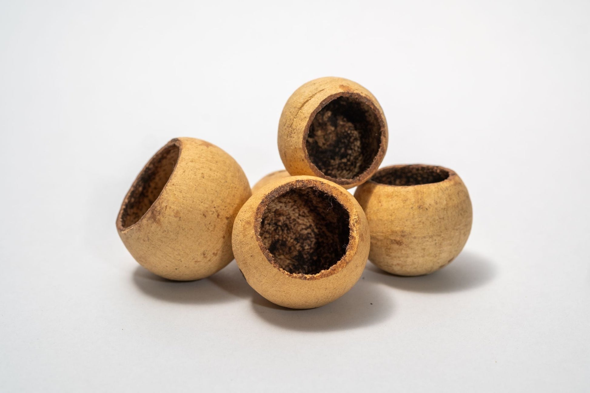 Bell Cup Pod - IHEARTBUGS, INC.