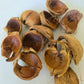 Betel Nut Husks - IHEARTBUGS, INC.