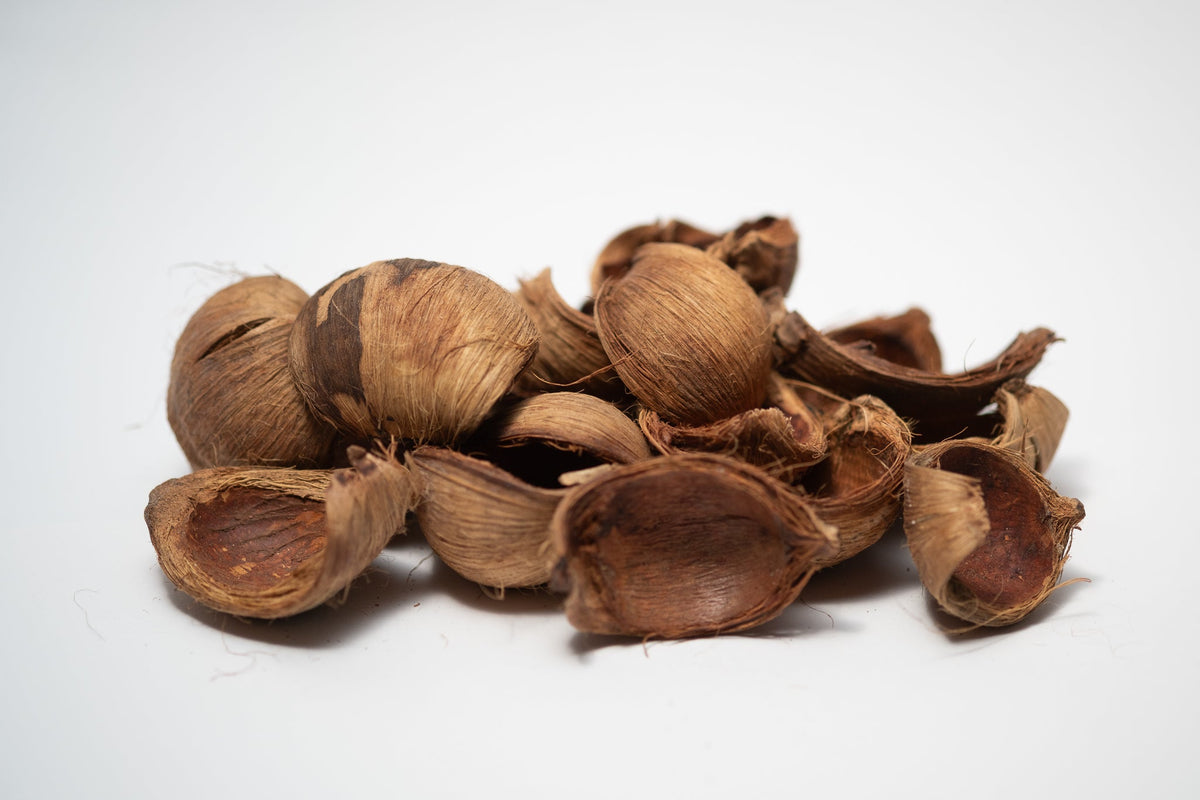 Betel Nut Husks - IHEARTBUGS, INC.