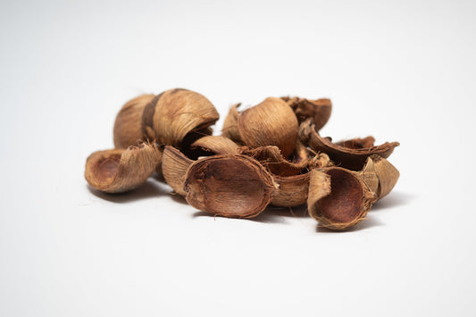 Betel Nut Husks - IHEARTBUGS, INC.