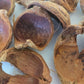Betel Nut Husks - IHEARTBUGS, INC.