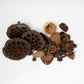 Botanical Seed Pod Variety Pack - 32 Pieces - IHEARTBUGS, INC.
