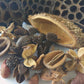 Botanical Seed Pod Variety Pack - 33 Pieces - IHEARTBUGS, INC.