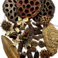 Botanical Seed Pod Variety Pack - 38 Pieces - IHEARTBUGS, INC.