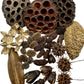 Botanical Seed Pod Variety Pack - 38 Pieces - IHEARTBUGS, INC.
