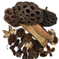 The I Heart Bugs Botanical Seed Pod Variety Pack (38 pieces) features lotus seed pods, dried star-shaped flowers, textured seed cones, and rough bark—ideal for vivarium decor.