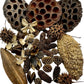 Botanical Seed Pod Variety Pack - 38 Pieces - IHEARTBUGS, INC.