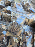 Broken & Irregular Seed Pod Grab Bag - IHEARTBUGS, INC.