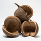 Buddha Nut - IHEARTBUGS, INC.