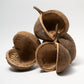 Buddha Nut - IHEARTBUGS, INC.
