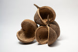 Buddha Nut - IHEARTBUGS, INC.