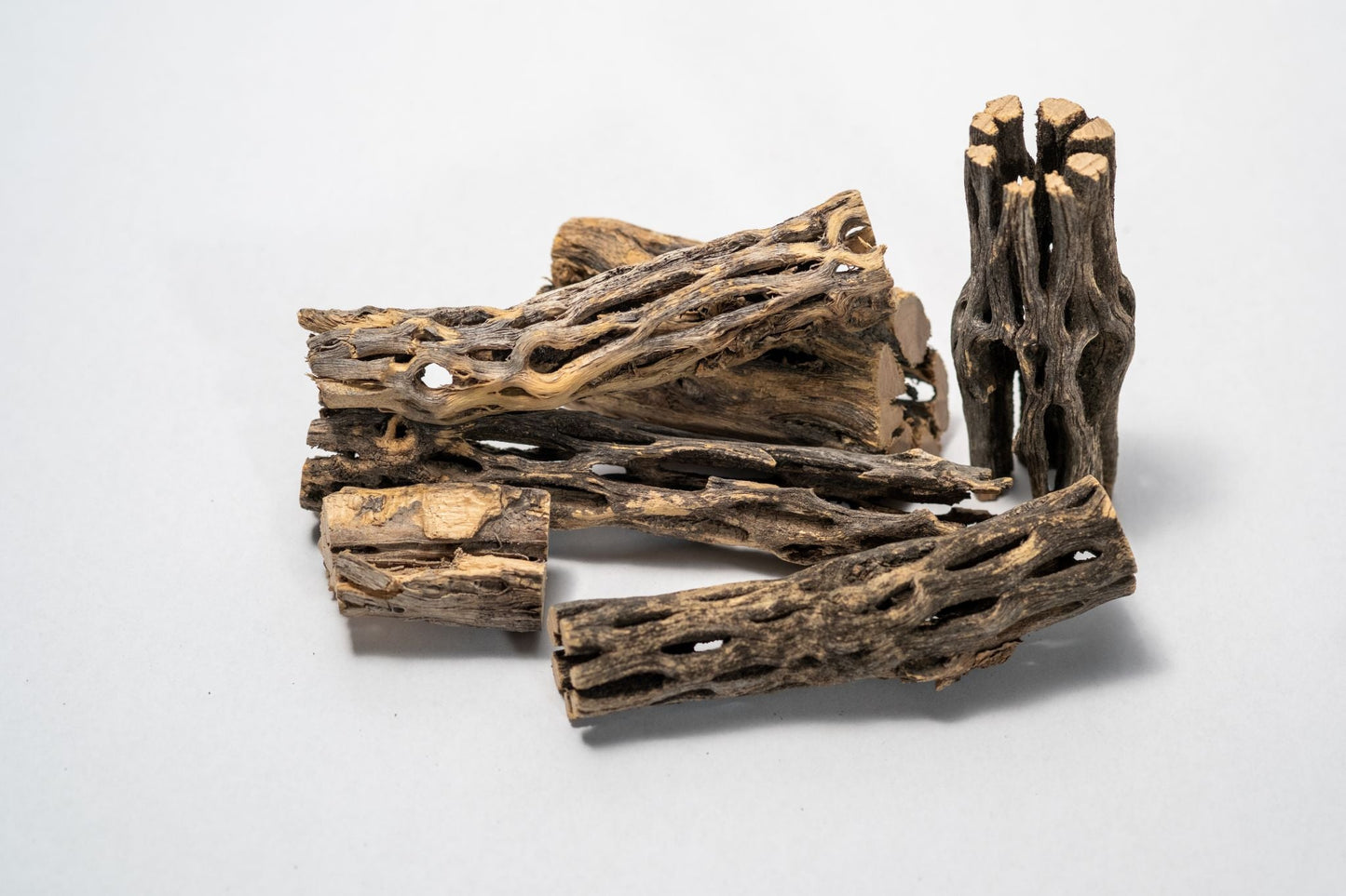 Cholla Wood - Random Small Pieces - IHEARTBUGS, INC.