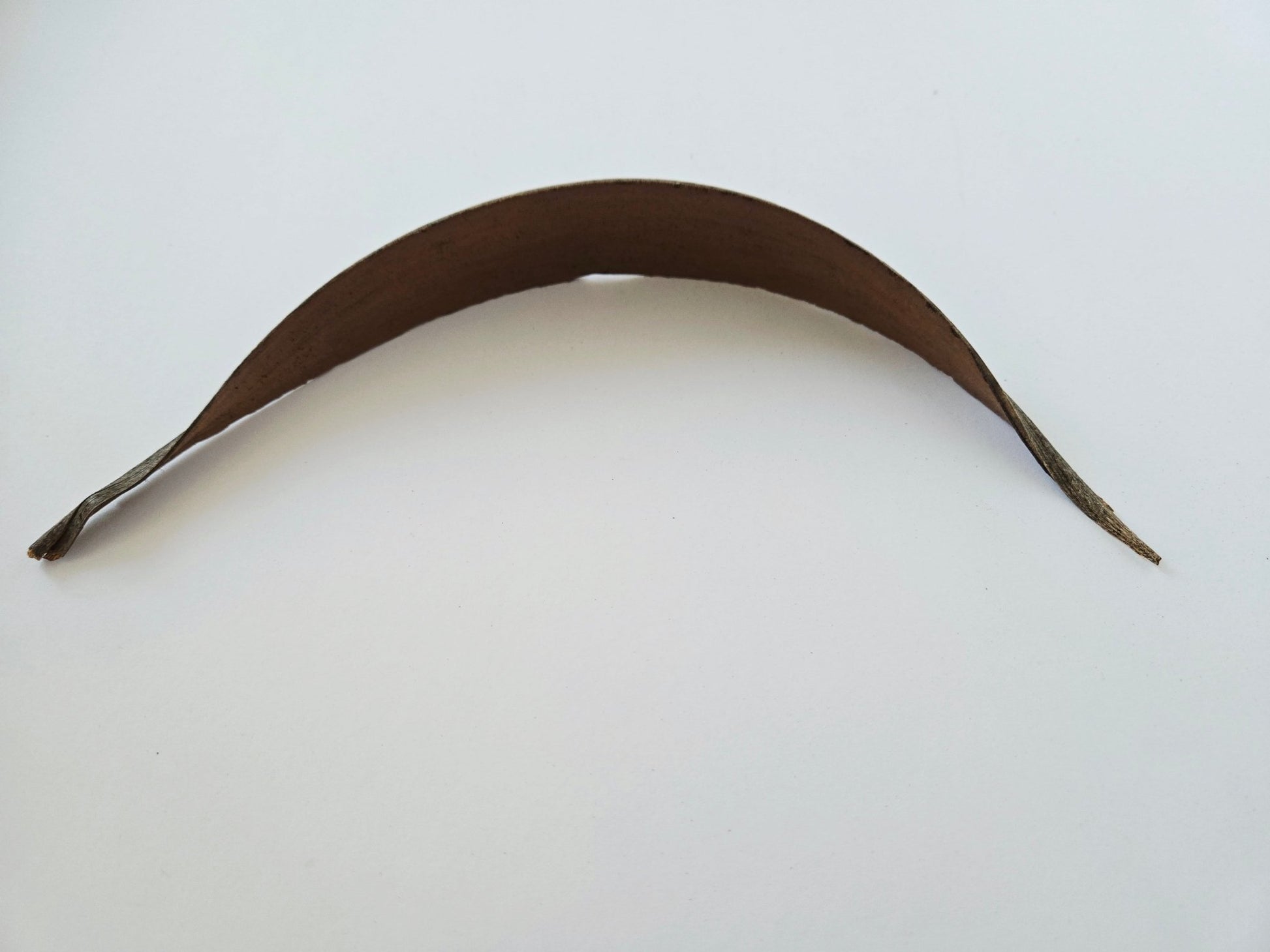 Coconut Palm Frond Paddles (3 Pack) - IHEARTBUGS, INC.