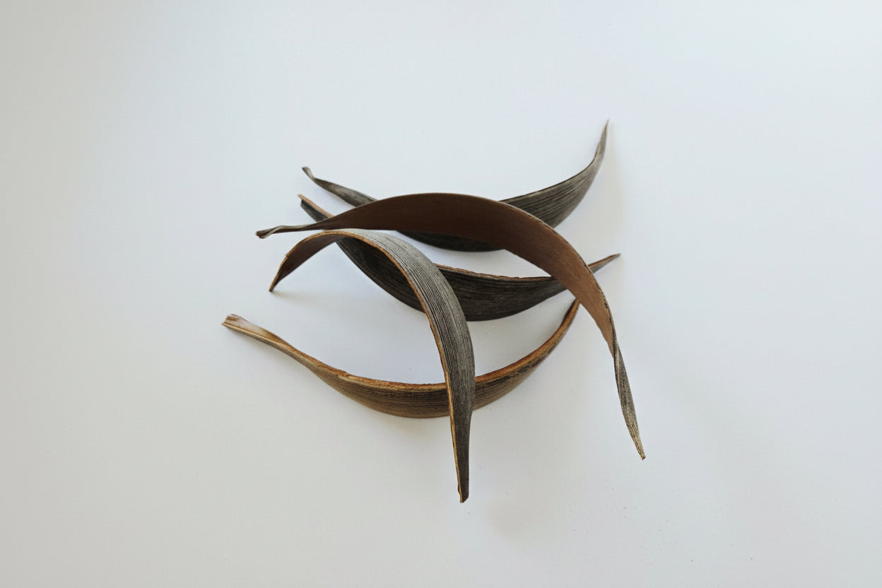 Coconut Palm Frond Paddles (3 Pack) - IHEARTBUGS, INC.