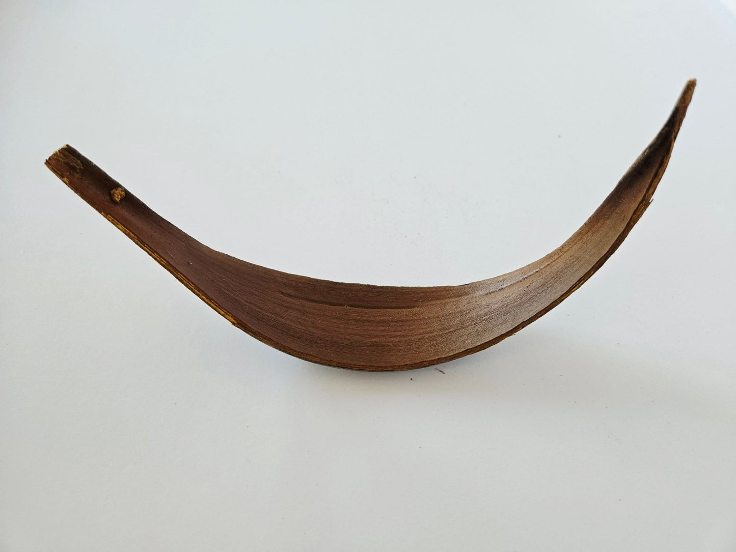 Coconut Palm Frond Paddles (3 Pack) - IHEARTBUGS, INC.