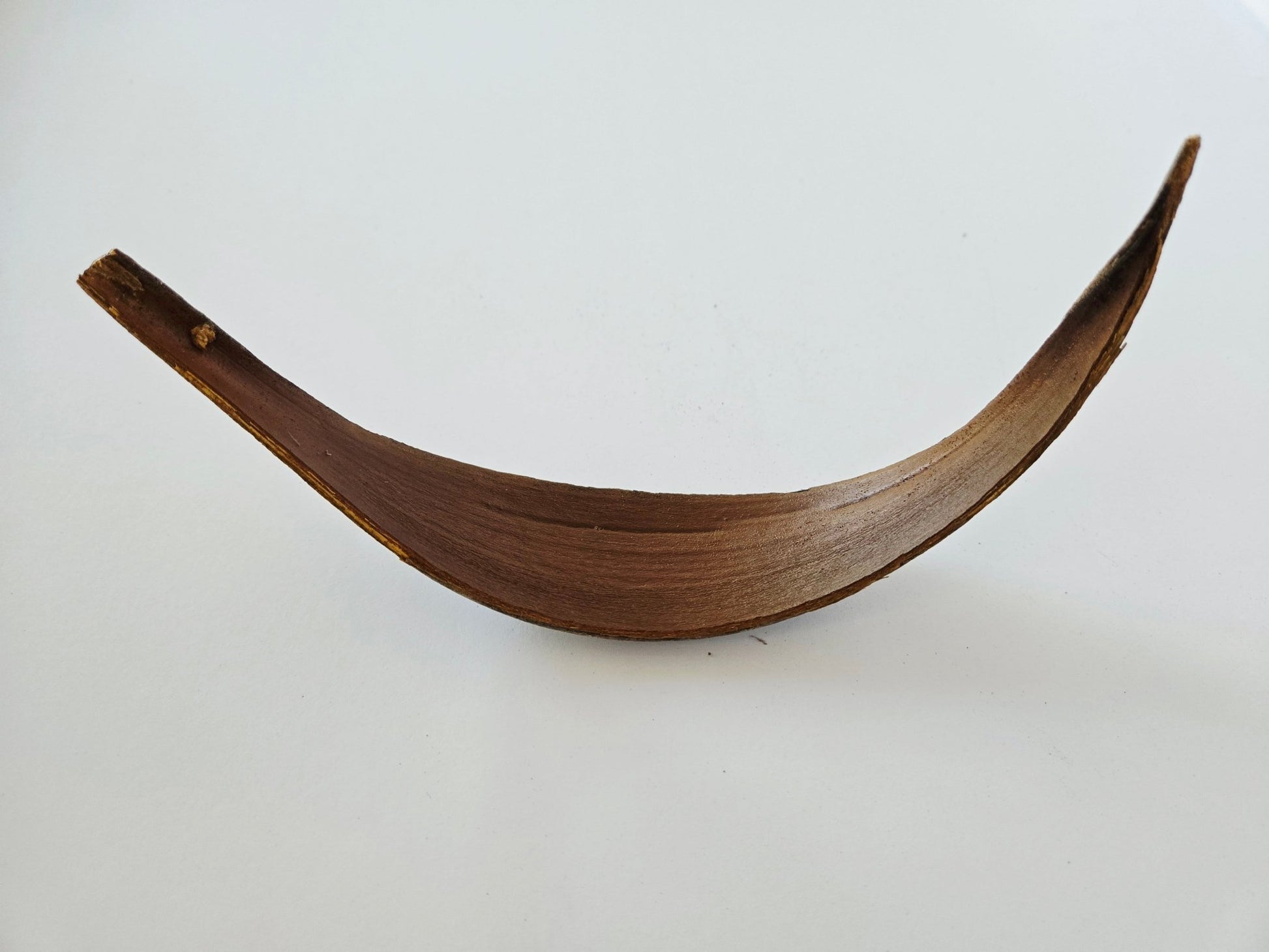 Coconut Palm Frond Paddles (3 Pack) - IHEARTBUGS, INC.