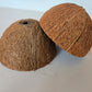 Coconut Shell Half - IHEARTBUGS, INC.