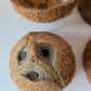 Coconut Shell Half - IHEARTBUGS, INC.
