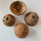 Coconut Shell Half - IHEARTBUGS, INC.