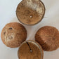 Coconut Shell Half - IHEARTBUGS, INC.