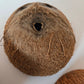 Coconut Shell Half - IHEARTBUGS, INC.