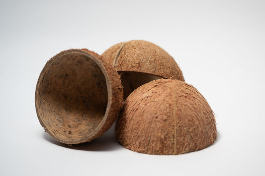 Coconut Shell Half - IHEARTBUGS, INC.
