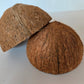 Coconut Shell Half - IHEARTBUGS, INC.