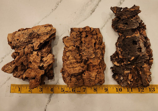 Cork Bark Flats - 3 Small pieces - IHEARTBUGS, INC.