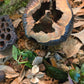 Cotton Flower Pods - IHEARTBUGS, INC.