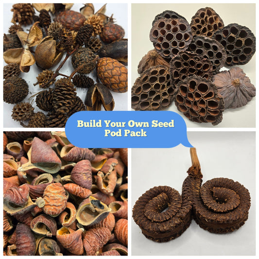 A collage of spiky, pinecone, honeycomb lotus, curved wood, and spiral seed pod images. Center text: Create Your Own Botanical Seed Pod Pack and Save by IHEARTBUGS, INC.