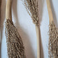 Date Palm Stalk - IHEARTBUGS, INC.