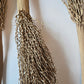Date Palm Stalk - IHEARTBUGS, INC.