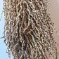 Date Palm Stalk - IHEARTBUGS, INC.