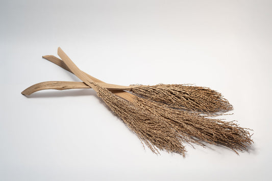 Date Palm Stalk - IHEARTBUGS, INC.